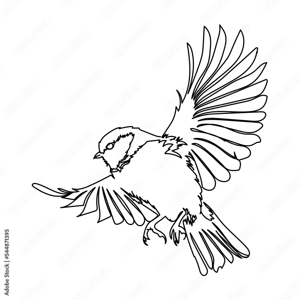 Bird flight drawing art hi-res stock photography and images - Alamy-saigonsouth.com.vn