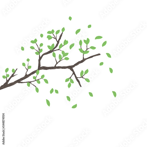 A tree branch with green leaves on a transparent background. PNG graphics. An element of the artwork design.