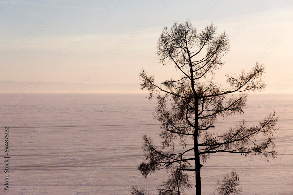 Larch Tree on Frozen Lake and Snow Capped Mountains Background. Larch Tree on Frozen Lake and Snow Capped Mountains Background.