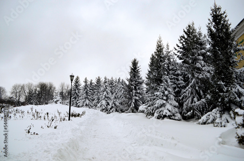 Winter landscape. Winter park.