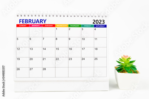 The February 2023 Monthly desk calendar for 2023 year with plant pot isolated on white background.