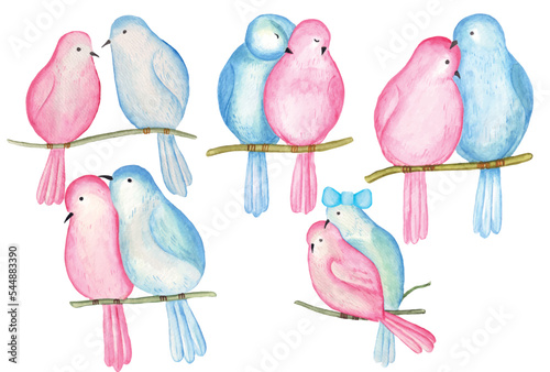 Watercolor Valentine Couple Bird clipart, valentine cute love bird illustration