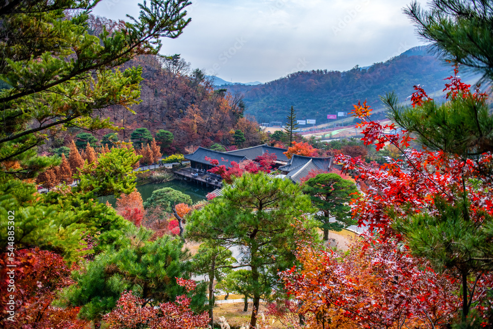 autumn in the mountains