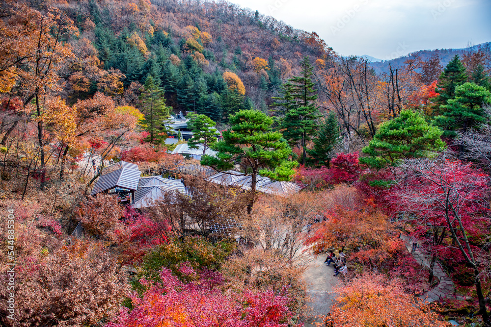 autumn colors in the mountains