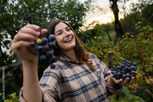 Portrait of a young cheerful woman with freshly picked up wine grapes. Wine production, organic production, country life concept.
