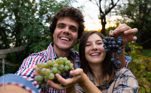 Happy young farmer couple or winemakers is showing fresh ripe grapes picked at the moment during harvesting season in vineyard and smiling in camera satisfied with results, taking selfie