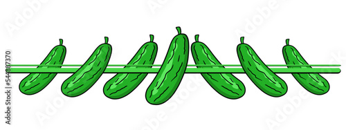 Horizontal border, edge, ripe juicy green cucumbers, vegetable collection, vector cartoon