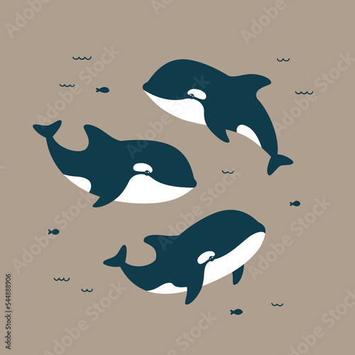 Vector illustration of cute killer whales