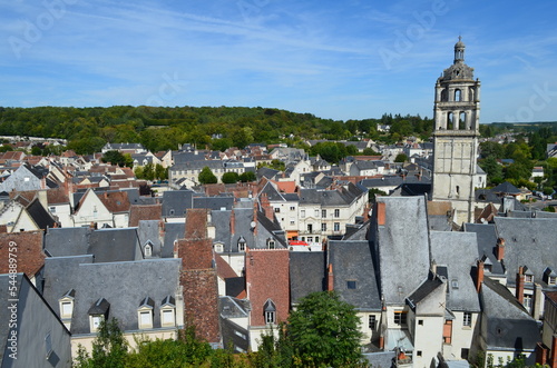 La ville de Loches (Indre-et-Loire - Centre-Val de Loire - France)