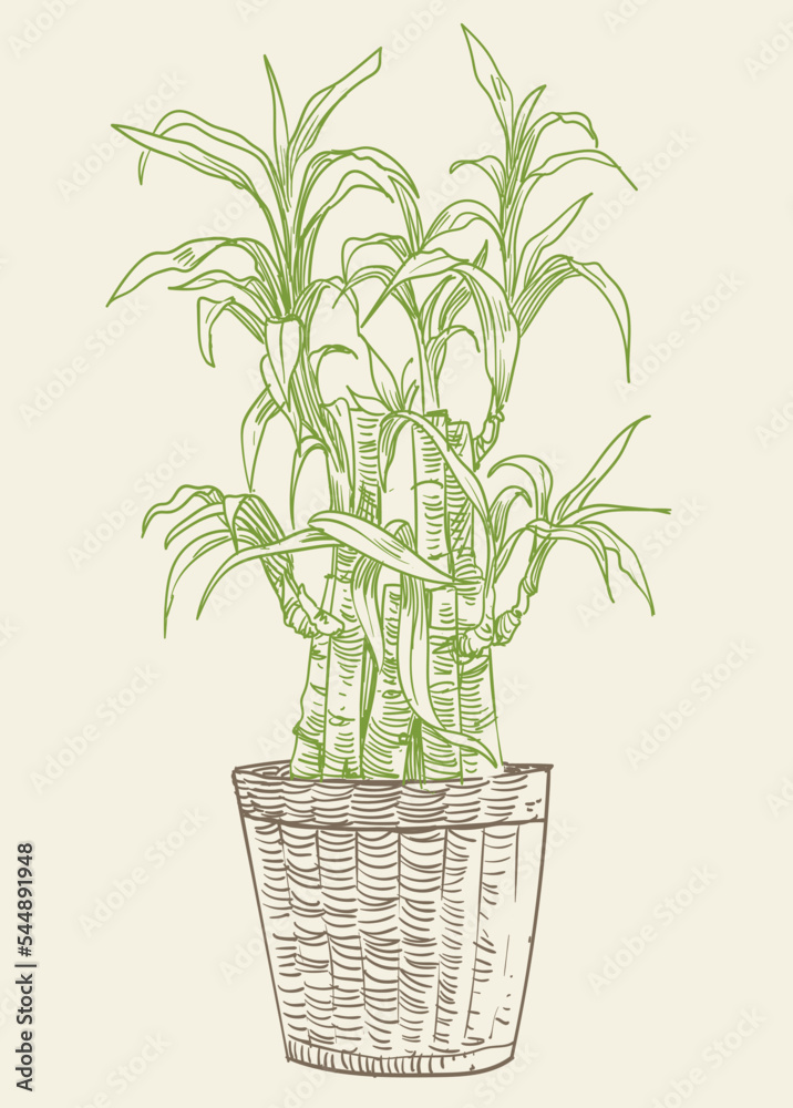 Fototapeta premium Floral plant hand draw vector illustration clip art