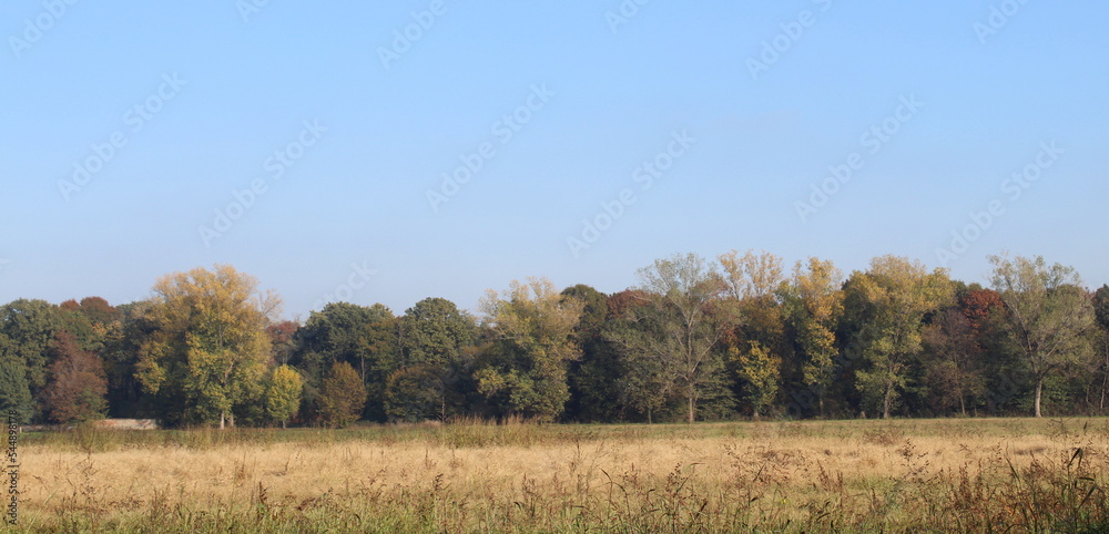 Paesaggio naturale in una giornata d'autunno Paesaggio naturale in una giornata d'autunno