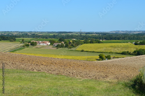 Panorama depuis la tour de Beaumont à Saint-Fort-sur-Gironde (Charente-Maritime -  Nouvelle-Aquitaine - France)