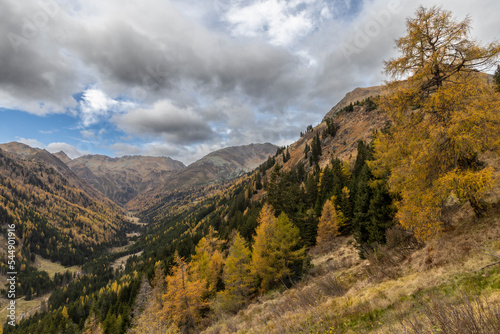 Obraz na płótnie nature park Soelktal in the Niedere Tauern range in Styria, Austria w salonie