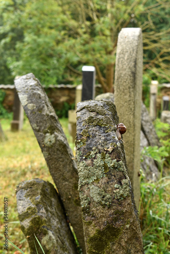 Jewish cemetery with graves and tombstones, old tombstone with snails, Pacov, Czech Republic
