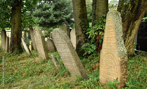 Jewish cemetery with graves and tombstones, old tombstone with snails, Pacov, Czech Republic photo
