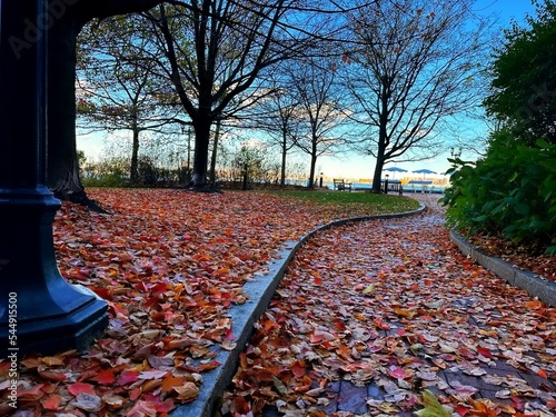 Fall is almost gone in Boston