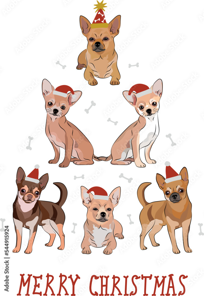 Fototapeta premium Chihuahua dogs wearing winter hats. Cute funny dogs.Abstract Christmas tree. Vector illustration. Merry Christmas greeting card with the cute funny dogs, holiday, purebred with happy eyes, sitting.