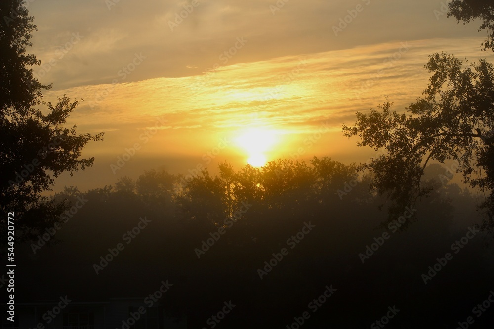 Sunset with clouds and trees