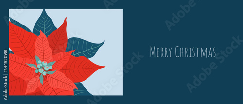 Christmas card with red poinsettia plant  Christmas star  symbol of Christmas and winter New Year holidays. Template for postcards  holiday party invitations. Vector illustration.