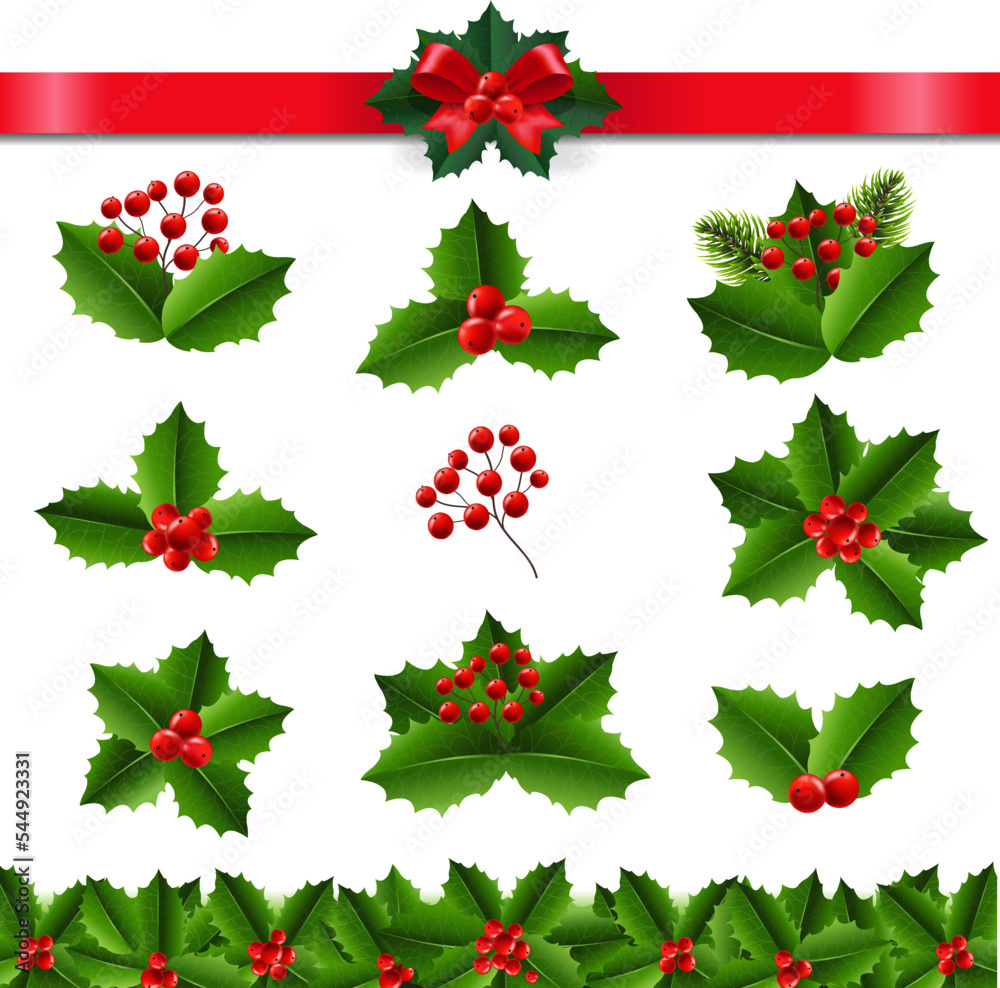 Holly Berry Big Set Transparent Background Stock Vector | Adobe Stock