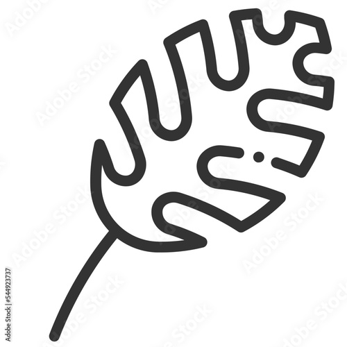 Vector leaf outline icon on the empty white background