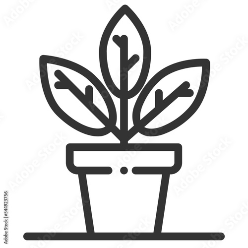 Vector plant outline icon on the empty white background