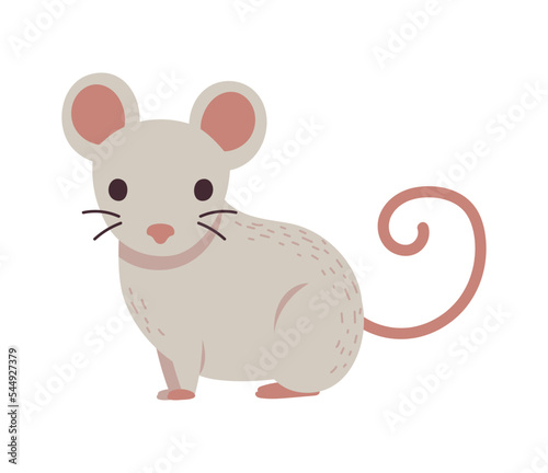 mouse winter animal © Stockgiu