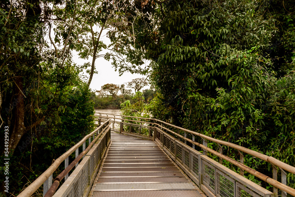wooden bridge over the river in iguazu falls wooden bridge over the river in iguazu falls