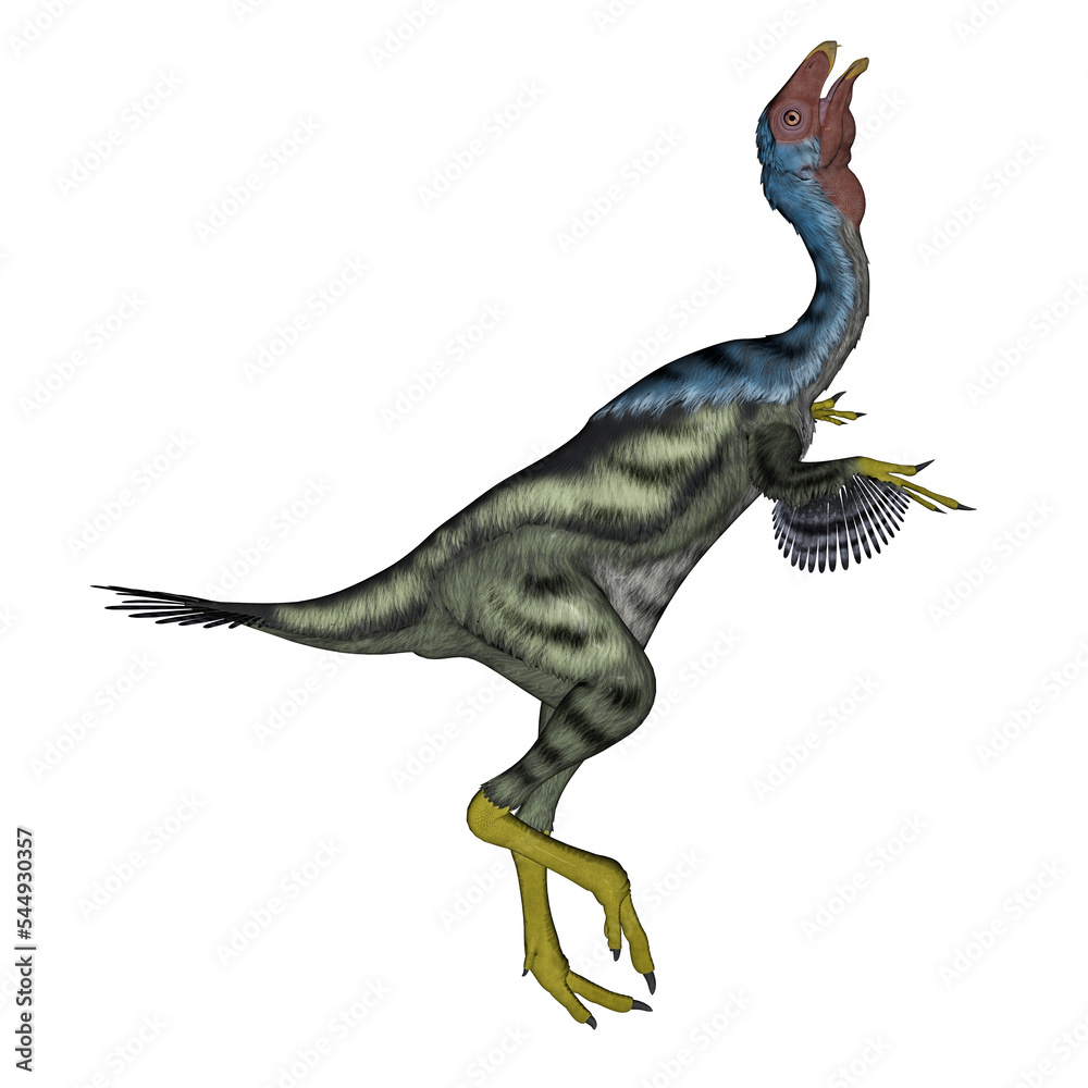Caudipteryx dinosaur head up- 3D render Caudipteryx dinosaur head up- 3D render