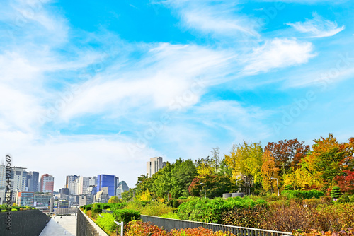 Photography Autumn foliage season with Seoul cityscape and skyscrapers and modern buildings
