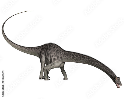 Diplodocus dinosaur head down - 3D render