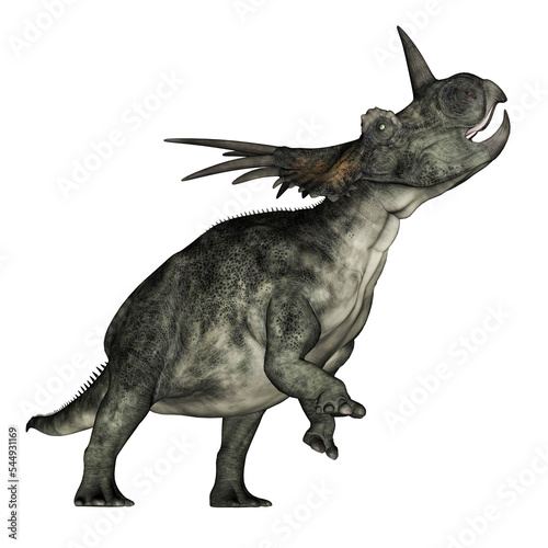 Styracosaurus dinosaur roaring - 3D render photo