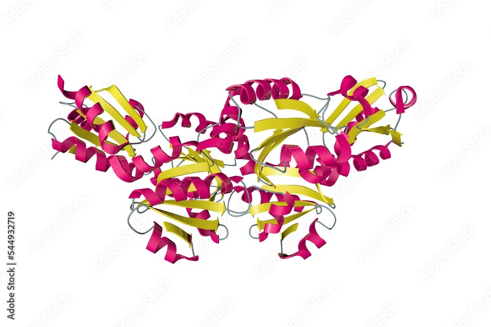 Crystal structure of human thioredoxin 2. Ribbons diagram in secondary structure coloring based on protein data bank entry 1uvz. Scientific background. 3d illustration