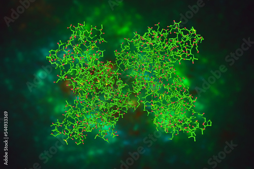 Human receptor-interacting protein kinase 1 domain in complex with a novel inhibitor. Molecular model. Rendering based on protein data bank entry 7fd0. Scientific background. 3d illustration
