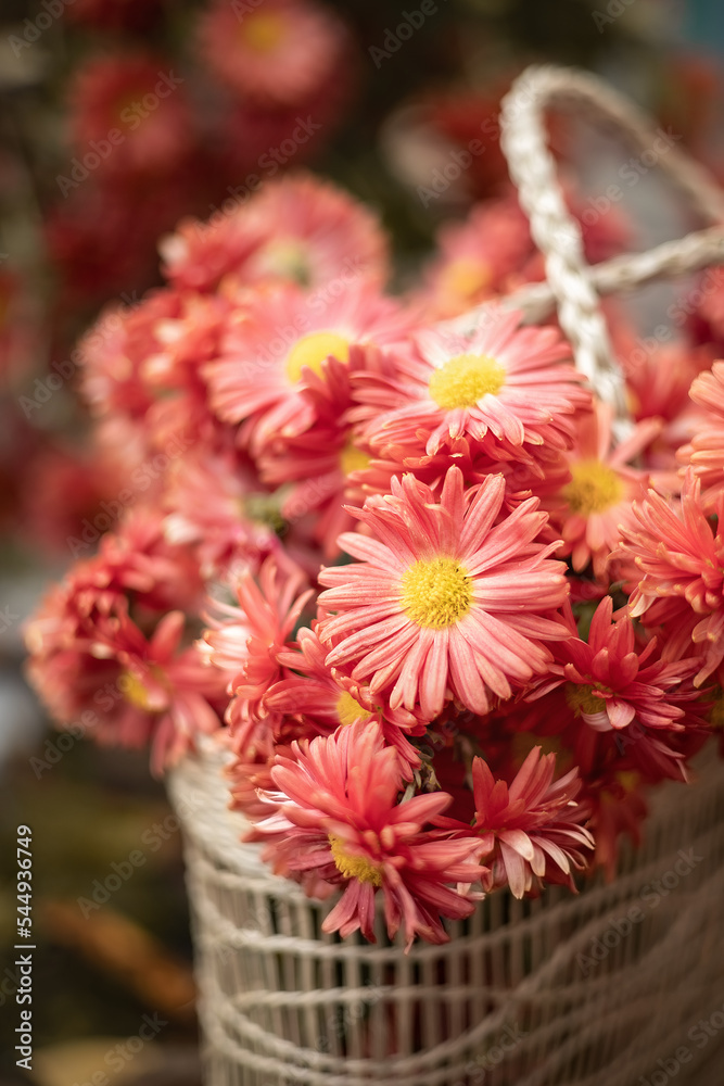 Still-life. Photo of a bouquet of orange chrysanthemums.