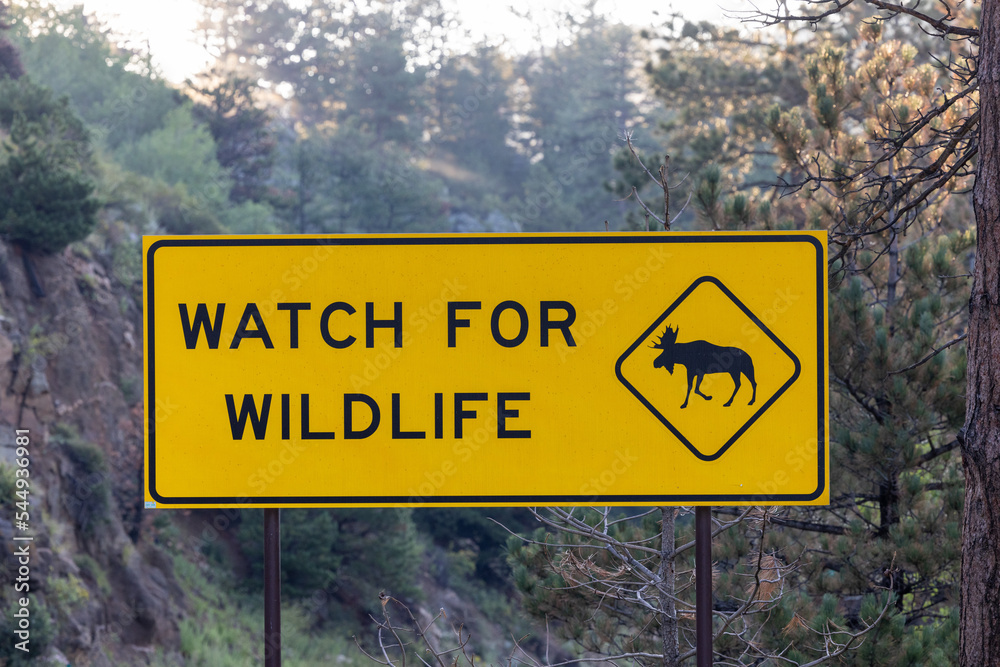 watch for wildlife danger sign 
