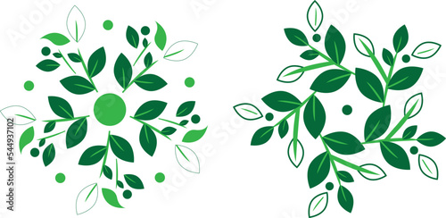 Mandala of leaves With circular ornament
