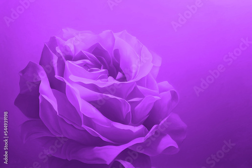 Pink floral background texture, soft violet and magenta shades of colors with beautiful flower illustration, love of spring, romantic wallpaper 