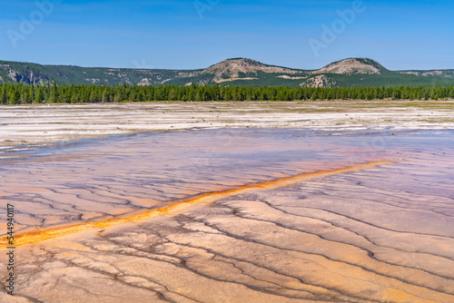 Fotografia Thermophiles line runoff channels around the Grand Prismatic Spring in Yellowstone