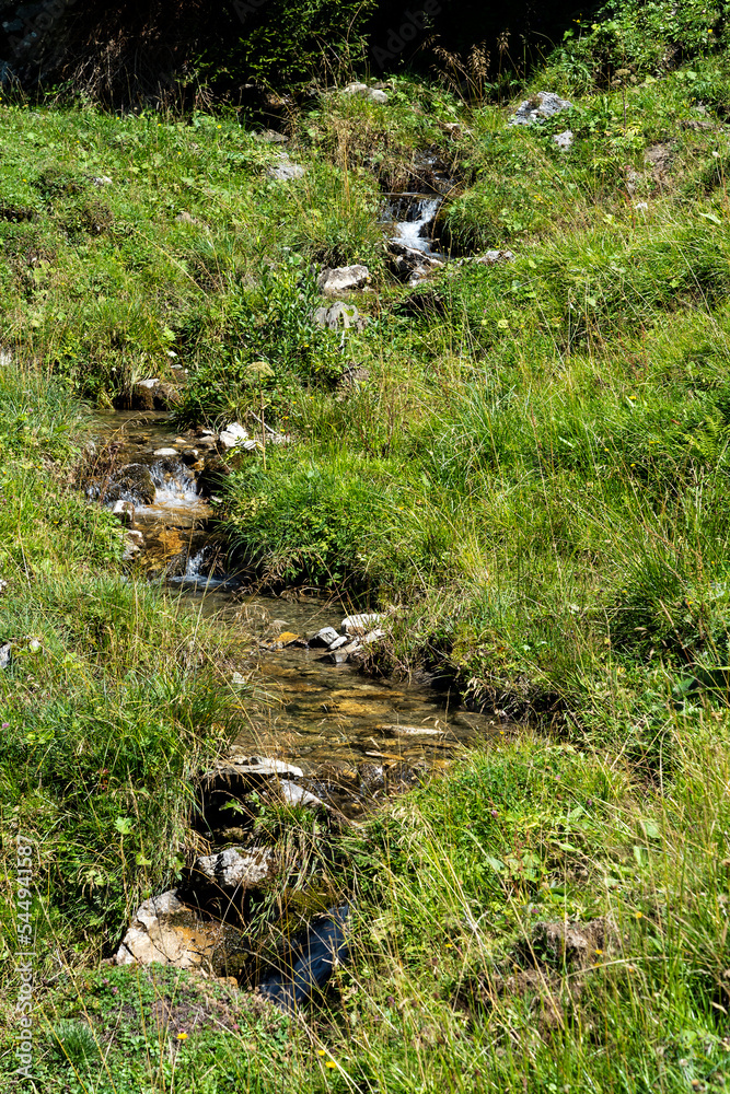 Kleiner Bach läuft durch eine Wiese Kleiner Bach läuft durch eine Wiese