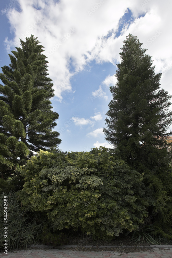 Park at monastery of Latroun in Israel Park at monastery of Latroun in Israel