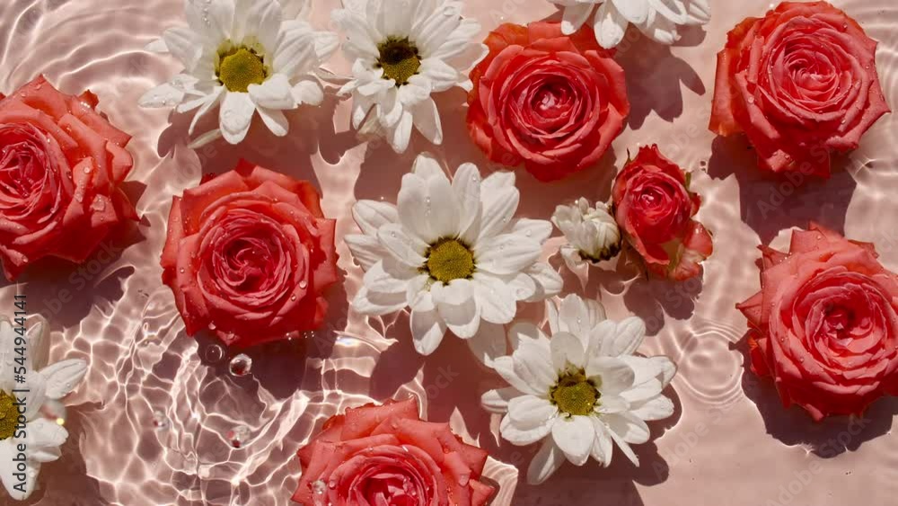 Flowers Roses on water surface with drops. Pure water with reflections sunlight and shadows. Slow motion of waves water. Packaging for design, advertising, products. High quality 4k footage Flowers Roses on water surface with drops. Pure water with reflections sunlight and shadows. Slow motion of waves water. Packaging for design, advertising, products. High quality 4k footage