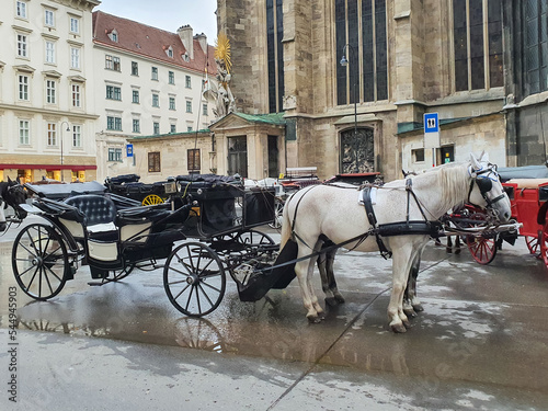 horse carriage on the streets of old town of Europe, horse drawn vehicle, tourist transport  © Anna Ivanovska