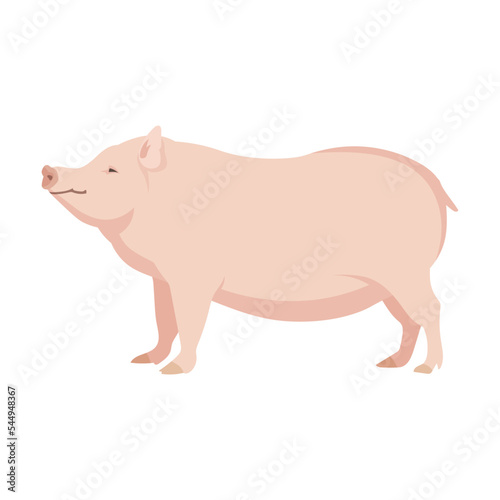 Cartoon domestic animal vector illustration. Farm animal pig isolated on white background. Domestic animals, pets, farming, concept