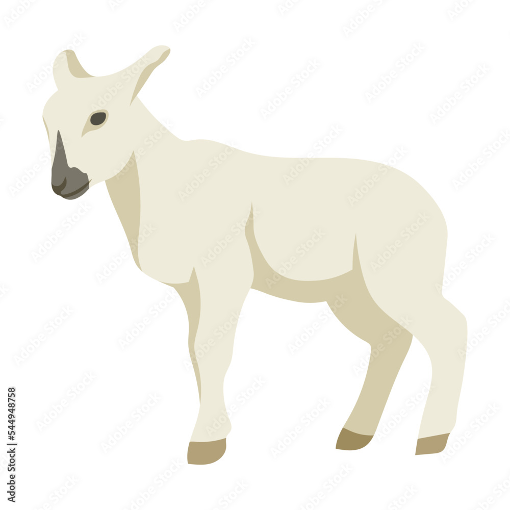 Cartoon domestic animal vector illustration. Farm animal lamb isolated on white background. Domestic animals, pets, farming, concept