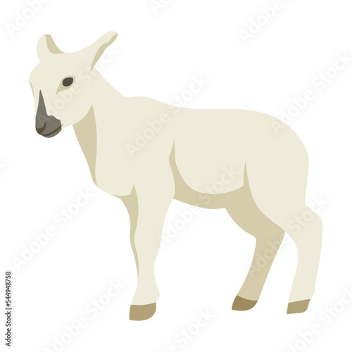 Cartoon domestic animal vector illustration. Farm animal lamb isolated on white background. Domestic animals, pets, farming, concept