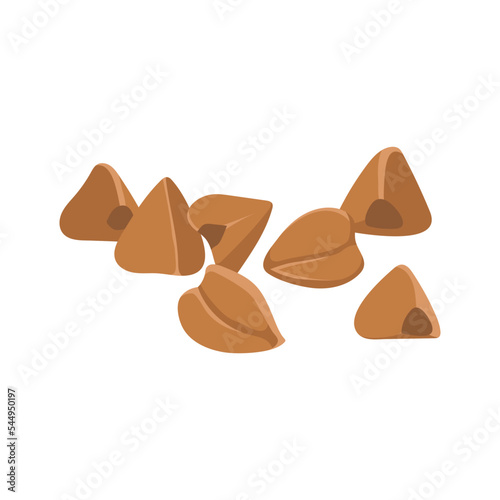 Plant buckwheat seeds and cereals. Beans vector. Buckwheat, millet, corn, rice, oat, wheat. Harvest concept