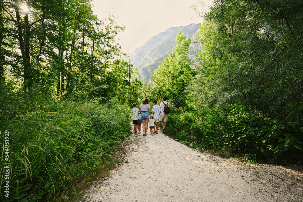 Fototapeta premium Back of family with four kids in Triglav National Park, Slovenia.