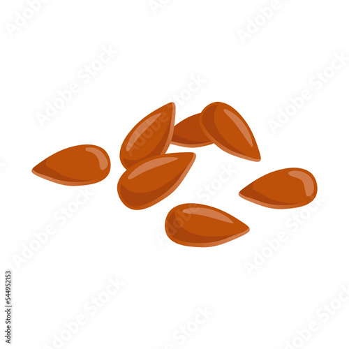 Plant sesame seeds and cereals illustration. Grains and beans vector. Harvest and vegetarian concept