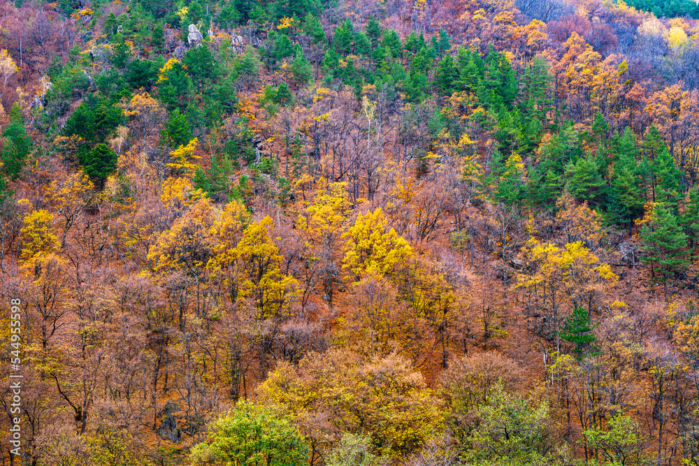 Beautiful autumnal landscape in the forest, Romanian mountains, Sibiu county Beautiful autumnal landscape in the forest, Romanian mountains, Sibiu county